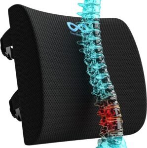 Lumbar Support Pillow